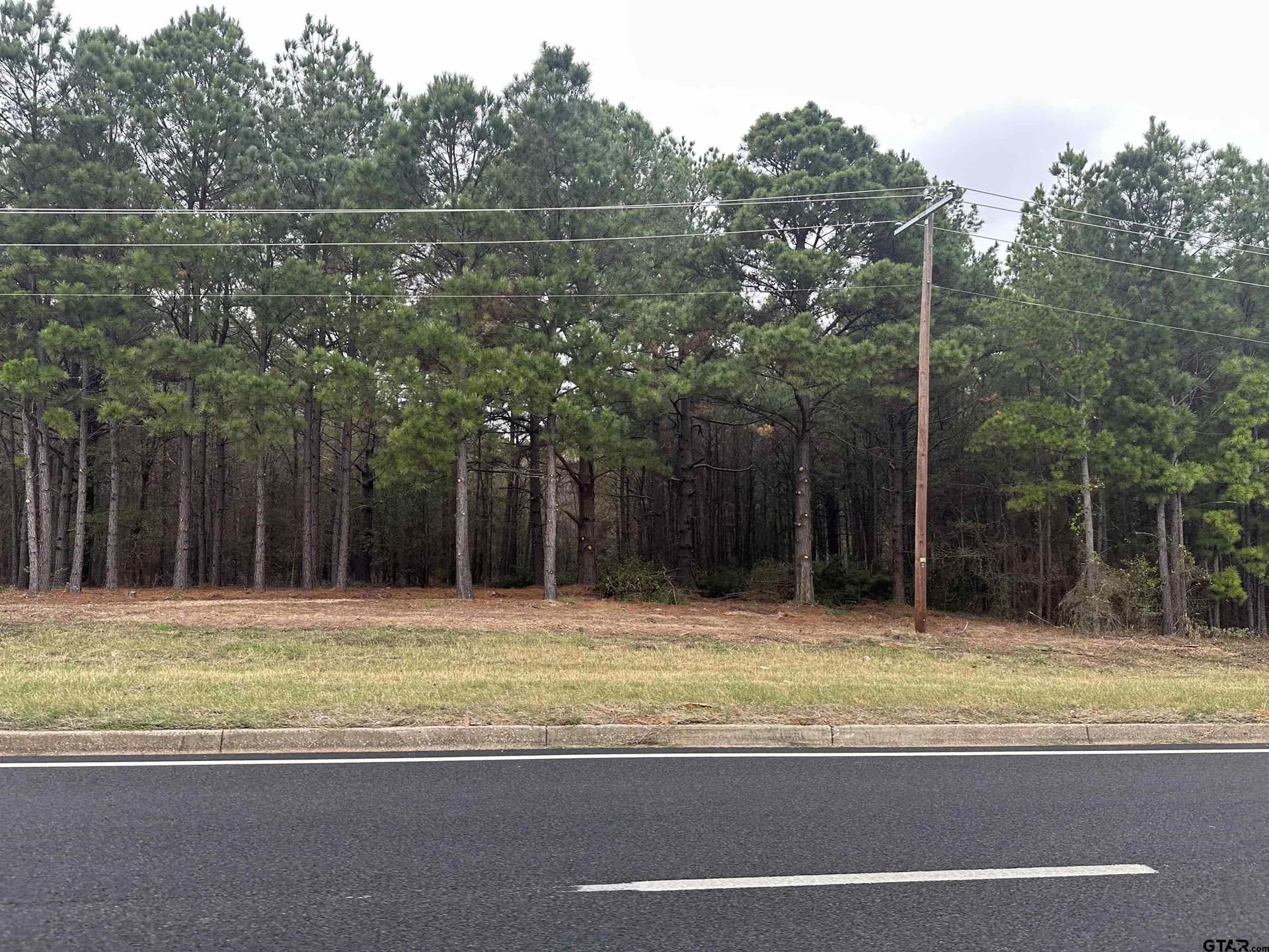 64 acres in Smith County - photo 3