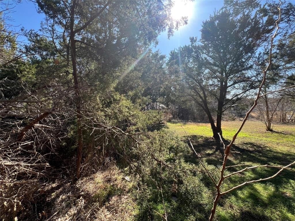 0.03 acres in Hood County - photo 6