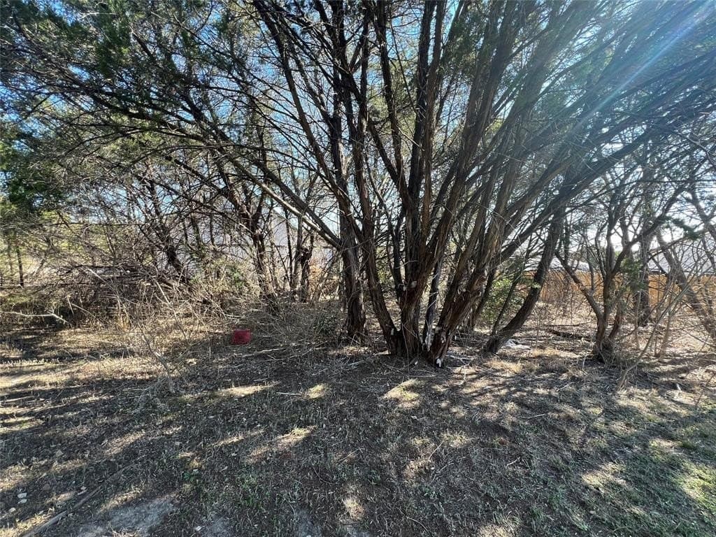 0.03 acres in Hood County - photo 3