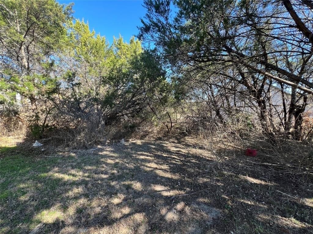 0.03 acres in Hood County - photo 2