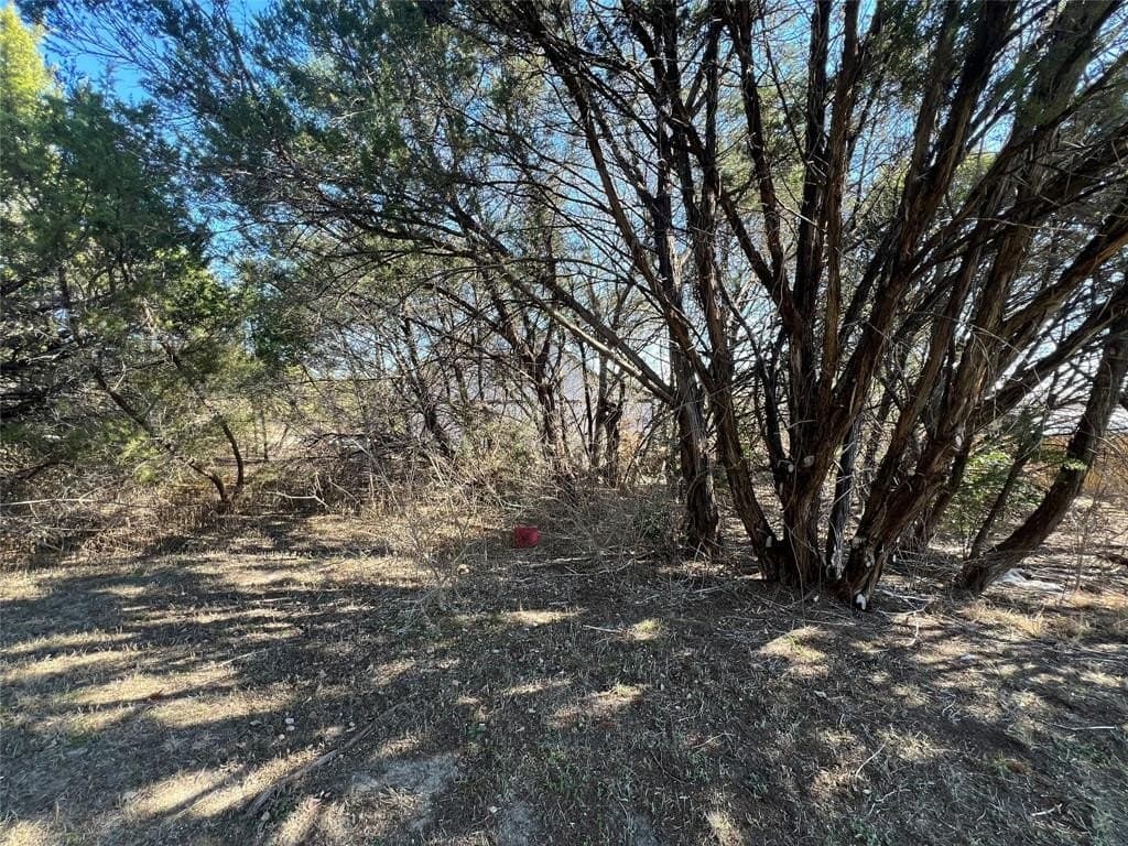 0.03 acres in Hood County - photo 4