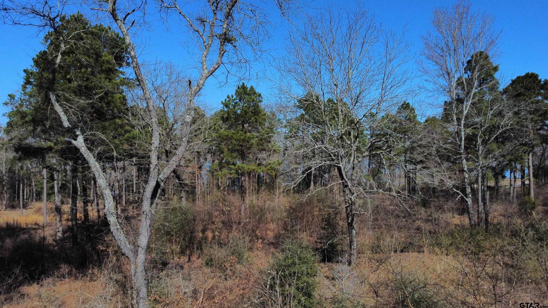 1.22 acres in Henderson County - photo 4