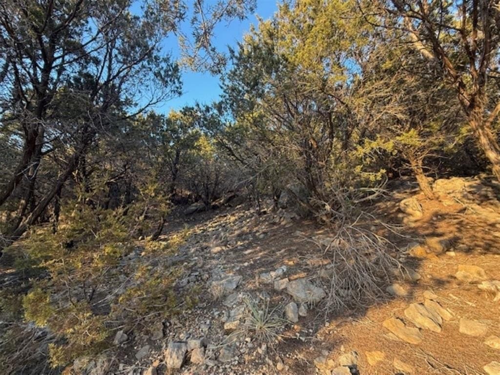 2.01 acres in Palo Pinto County - photo 3