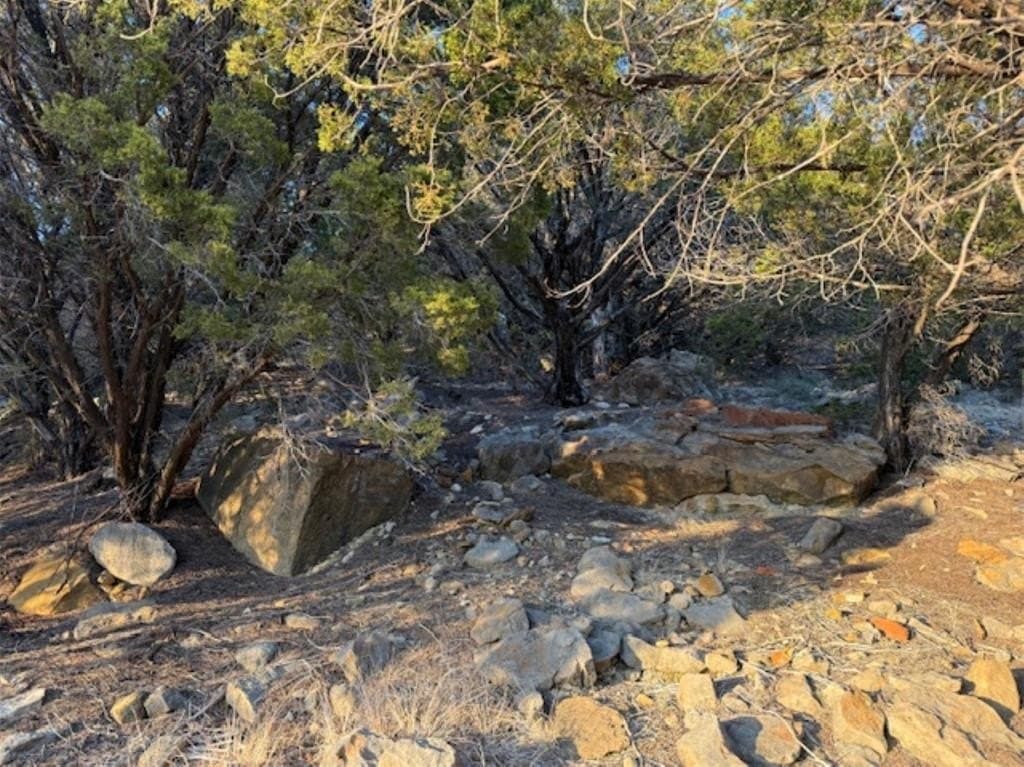 2.01 acres in Palo Pinto County - photo 4