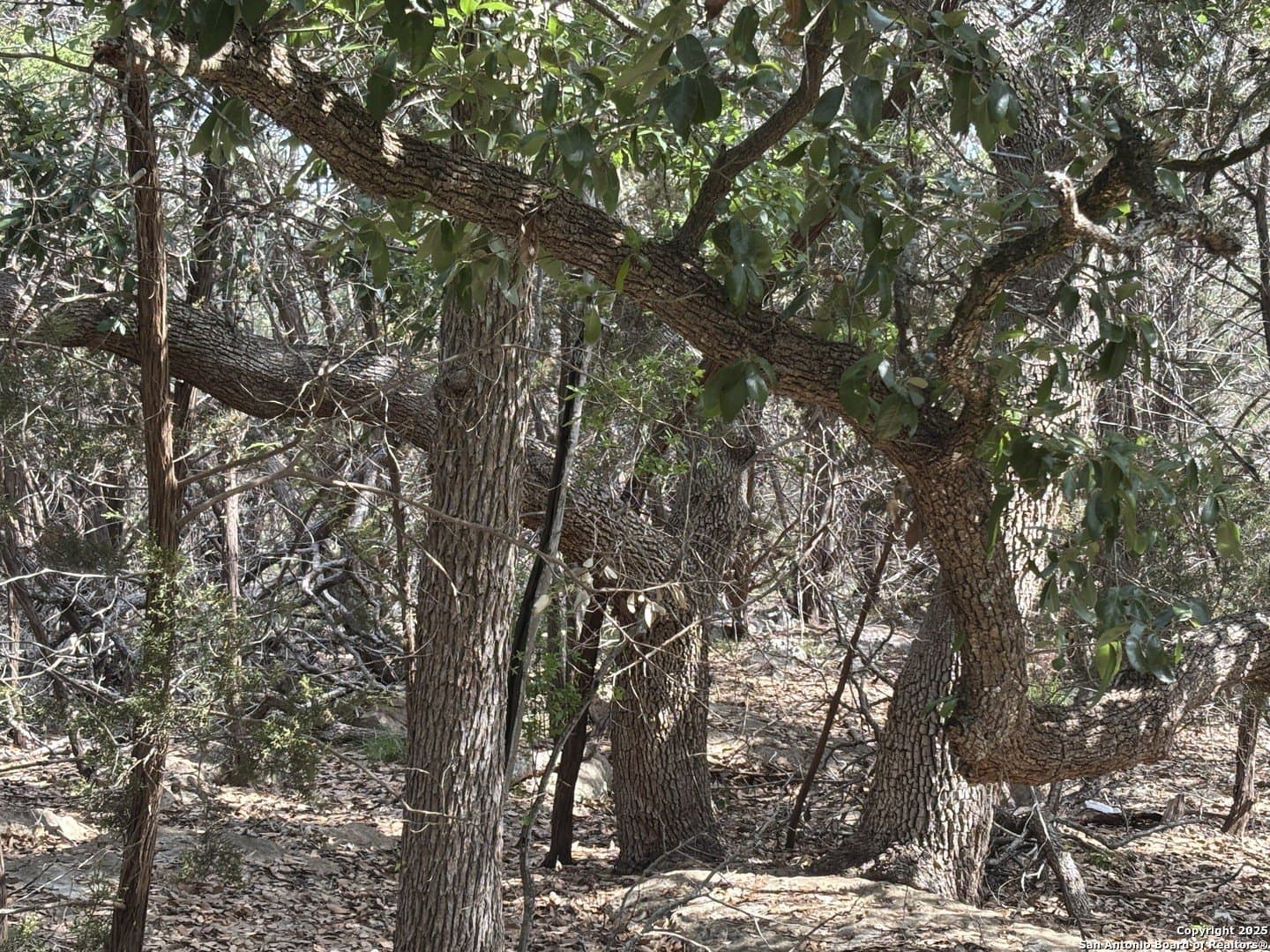 1.06 acres in Comal County - photo 4