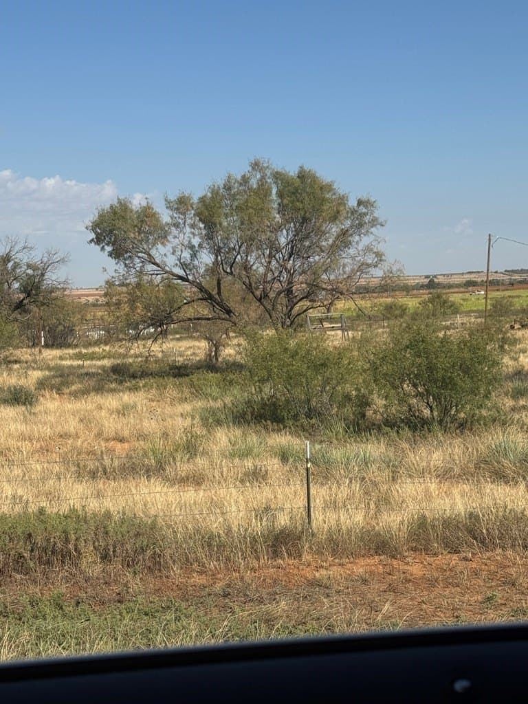 3.11 acres in Mitchell County - photo 3
