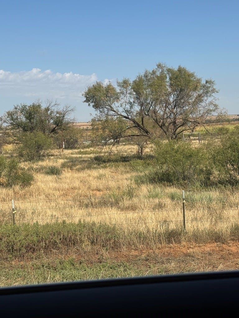 3.11 acres in Mitchell County - photo 4