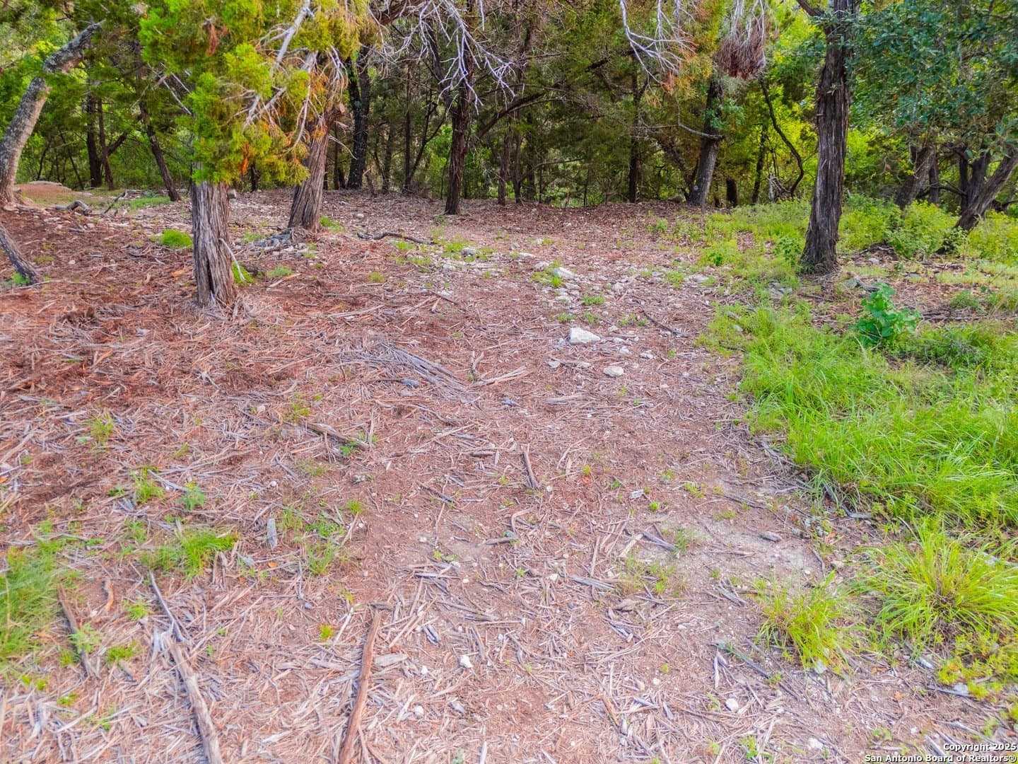0.45 acres in Comal County - photo 15