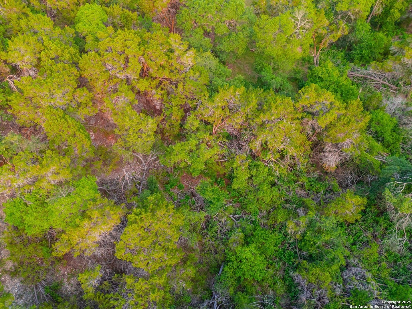 0.45 acres in Comal County - photo 14