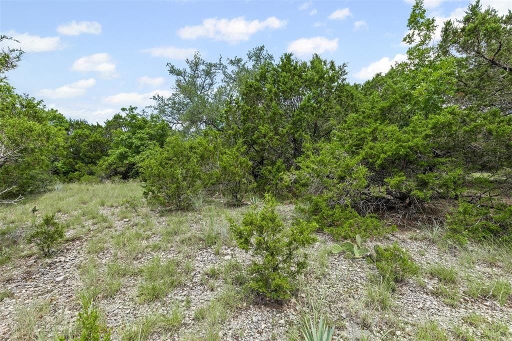 3 acres in Johnson County - photo 6