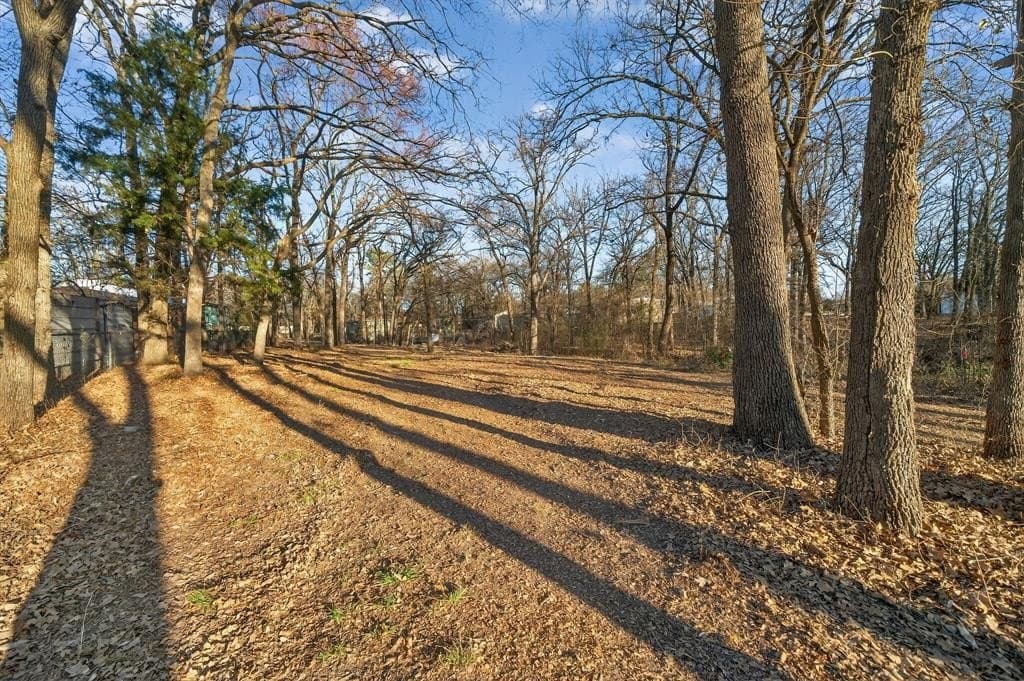0.18 acres in Rains County - photo 7