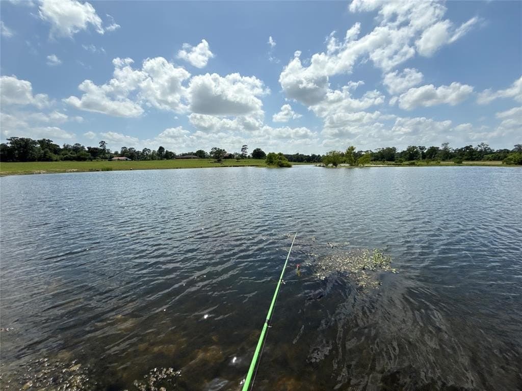 275 acres in Wood County - photo 24