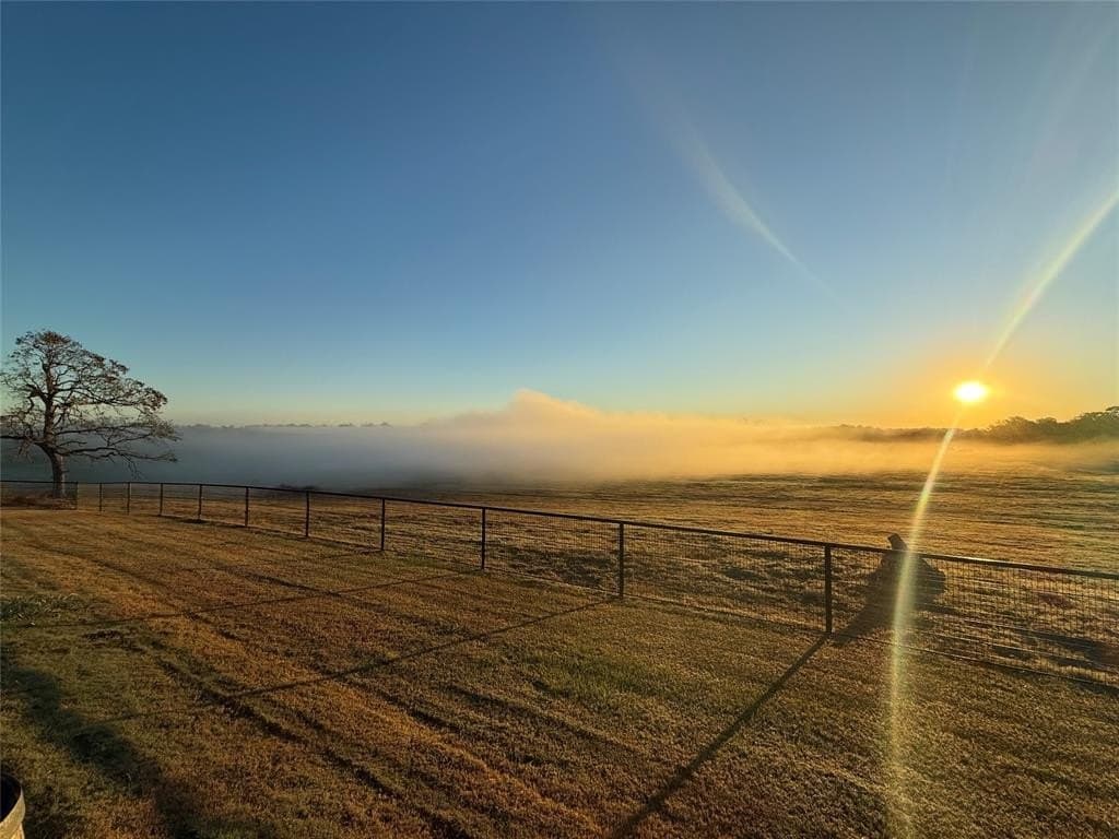 275 acres in Wood County - photo 4