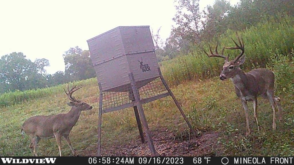 275 acres in Wood County - photo 17