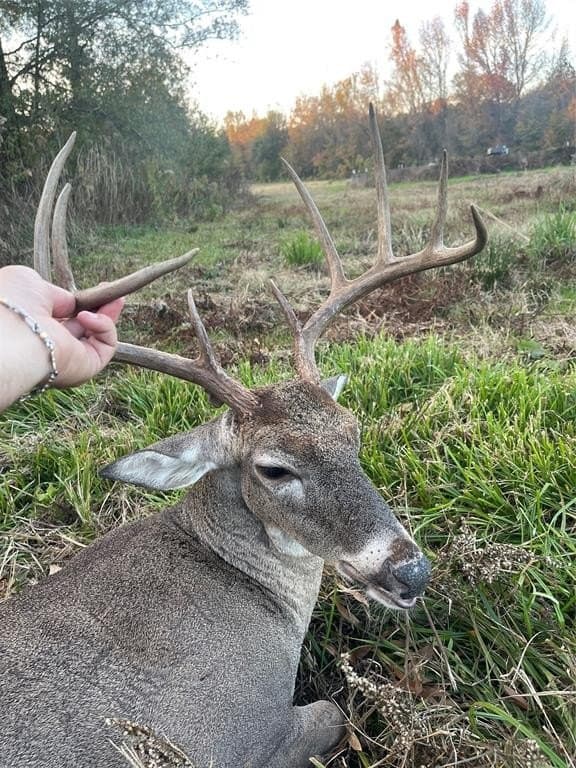 275 acres in Wood County - photo 18