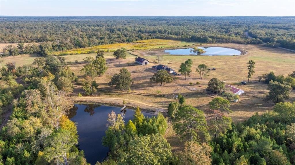 275 acres in Wood County - photo 10