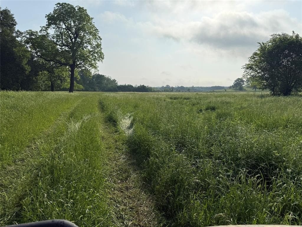 275 acres in Wood County - photo 8