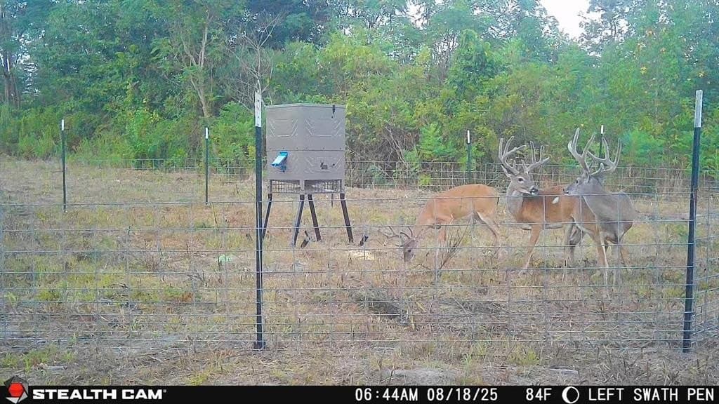 275 acres in Wood County - photo 14