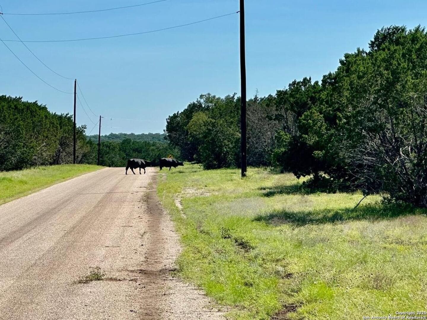 8 acres in Burnet County - photo 17