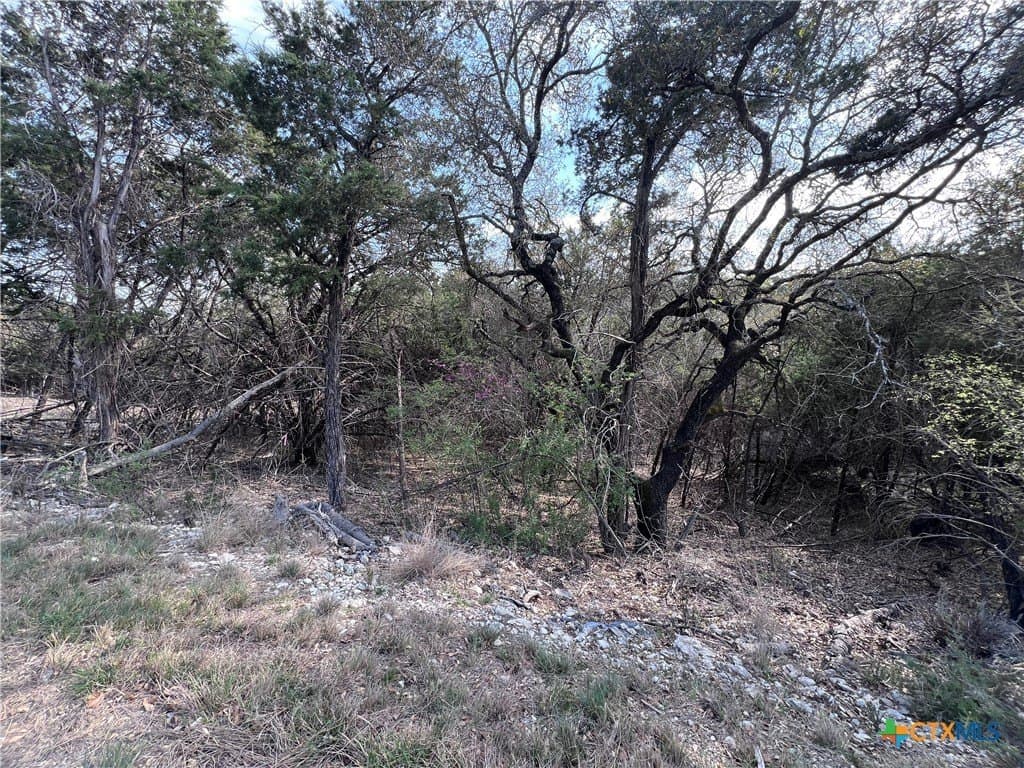 0.15 acres in Bell County - photo 3