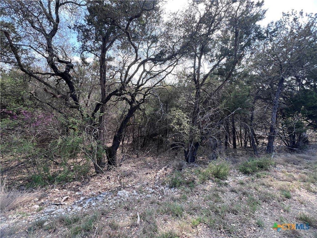 0.15 acres in Bell County - photo 4