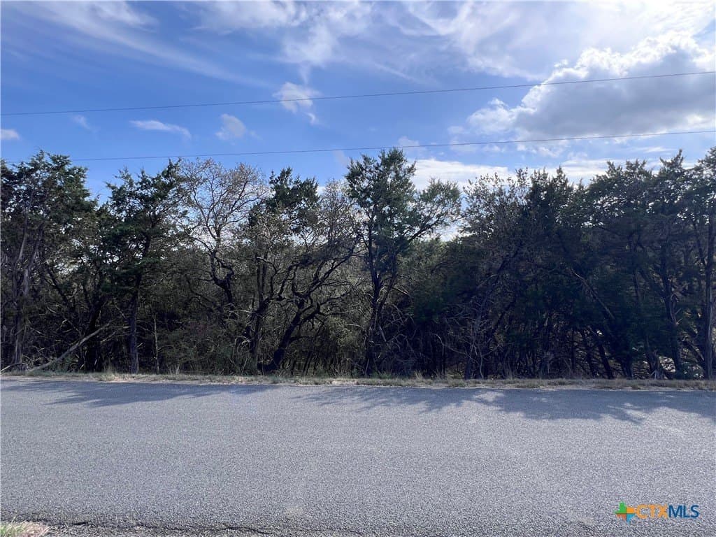 0.15 acres in Bell County - photo 6