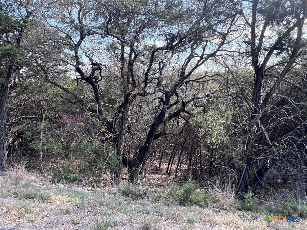 0.15 acres in Bell County - photo 2