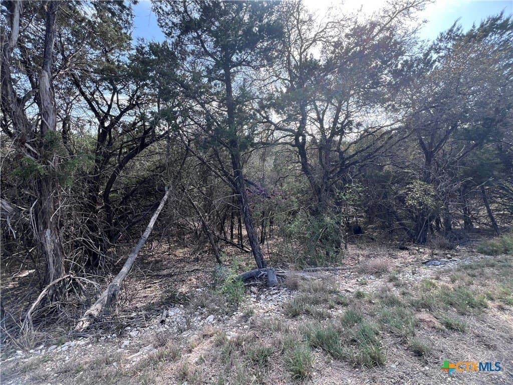 0.15 acres in Bell County - photo 5