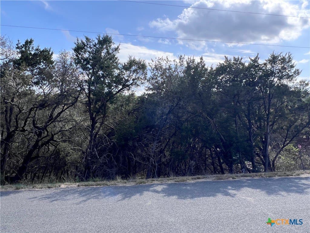 0.15 acres in Bell County - photo 7