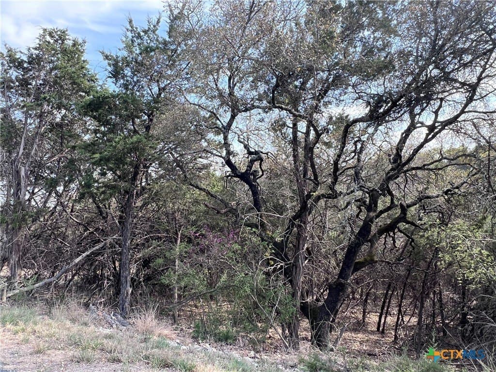 0.15 acres in Bell County - photo 8