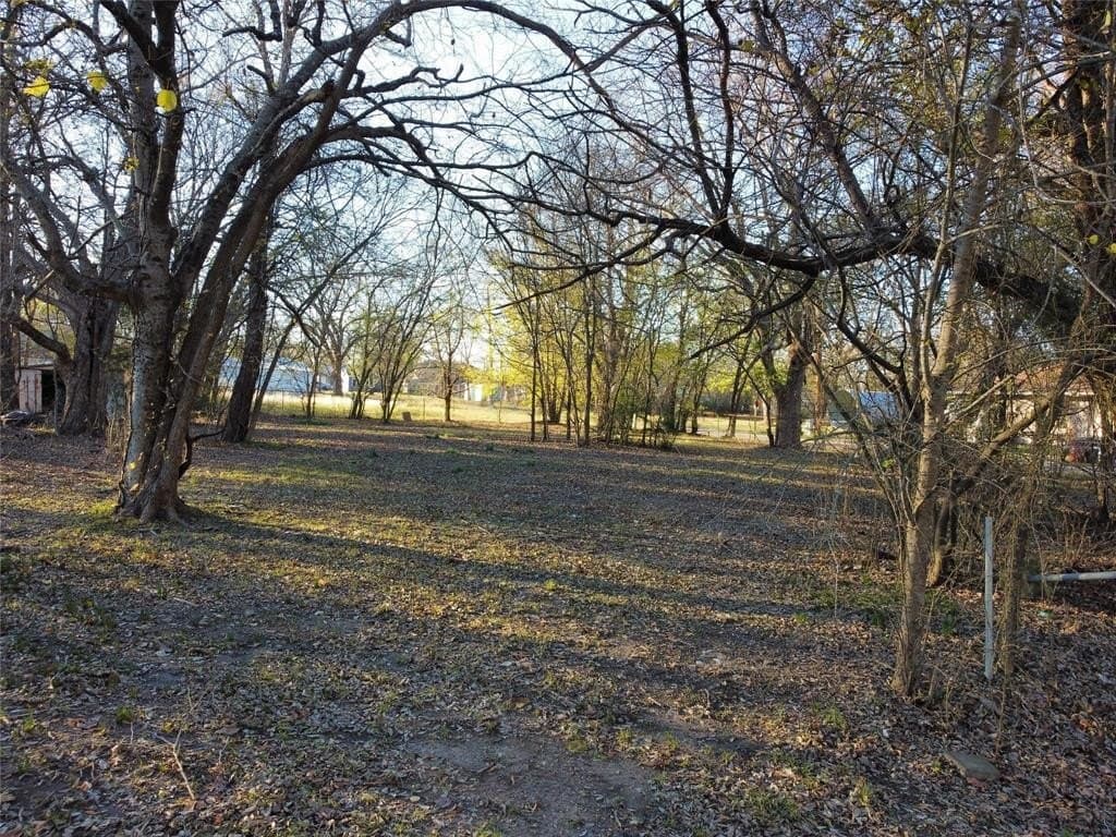0.25 acres in Delta County - photo 2