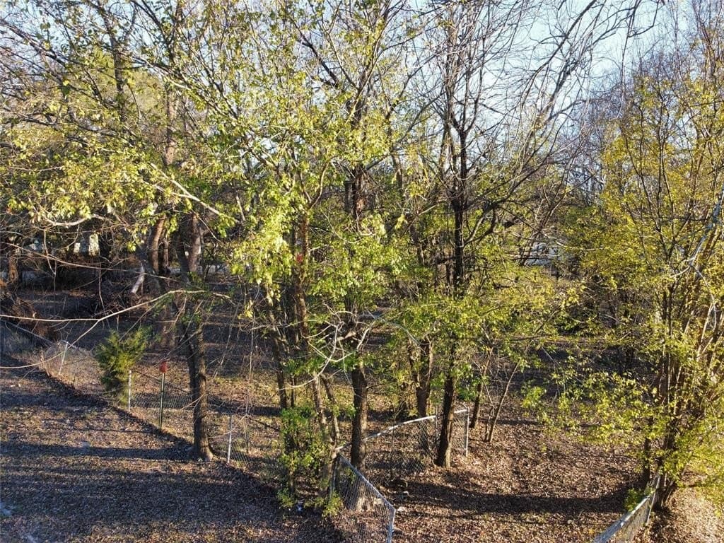 0.25 acres in Delta County - photo 3
