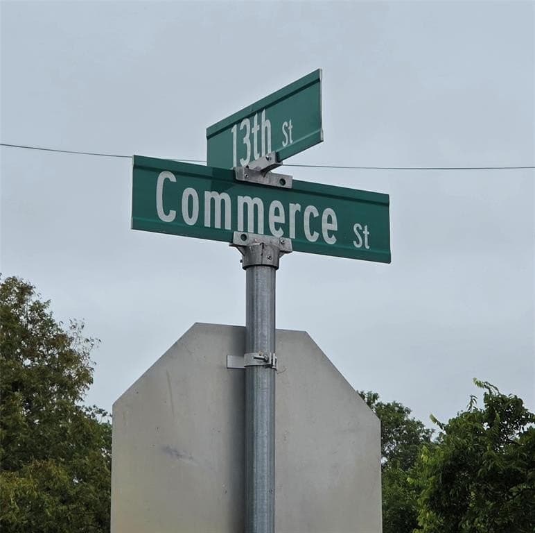 0.25 acres in Fannin County - photo 9