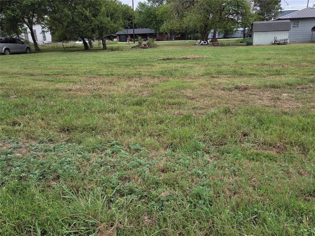 0.25 acres in Fannin County - photo 6