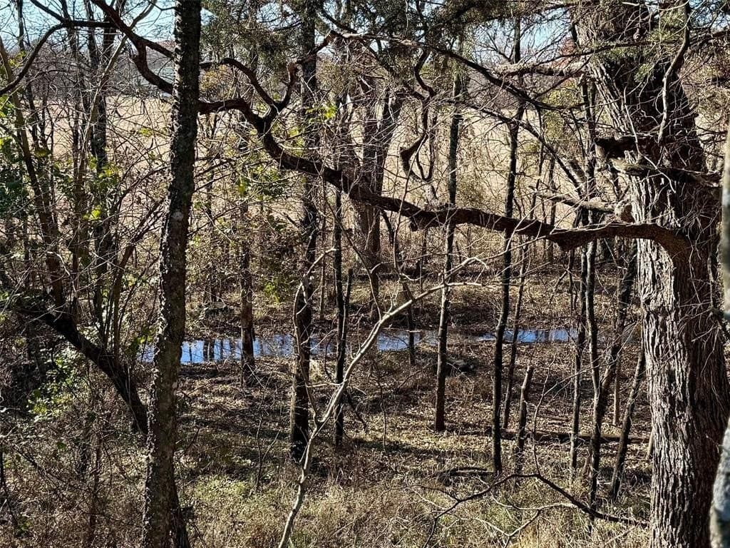 5.3 acres in Cooke County - photo 23