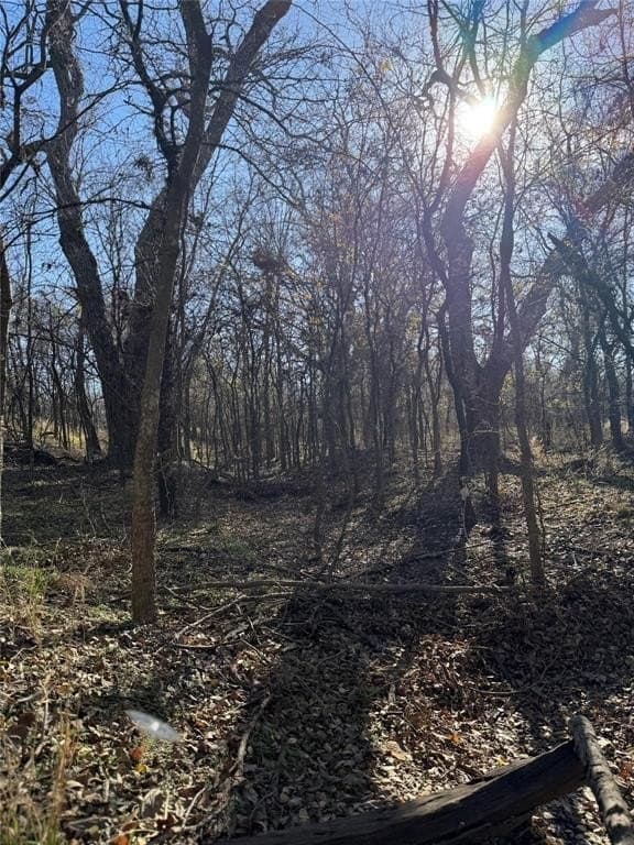 5.3 acres in Cooke County - photo 21