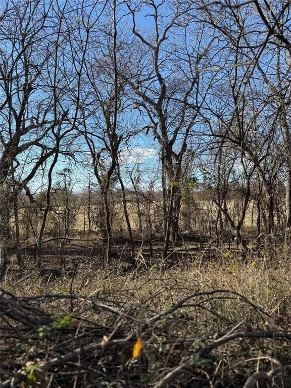 5.3 acres in Cooke County - photo 8