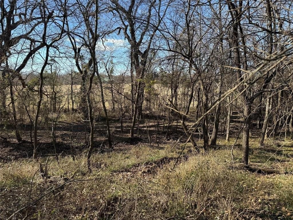 5.3 acres in Cooke County - photo 2
