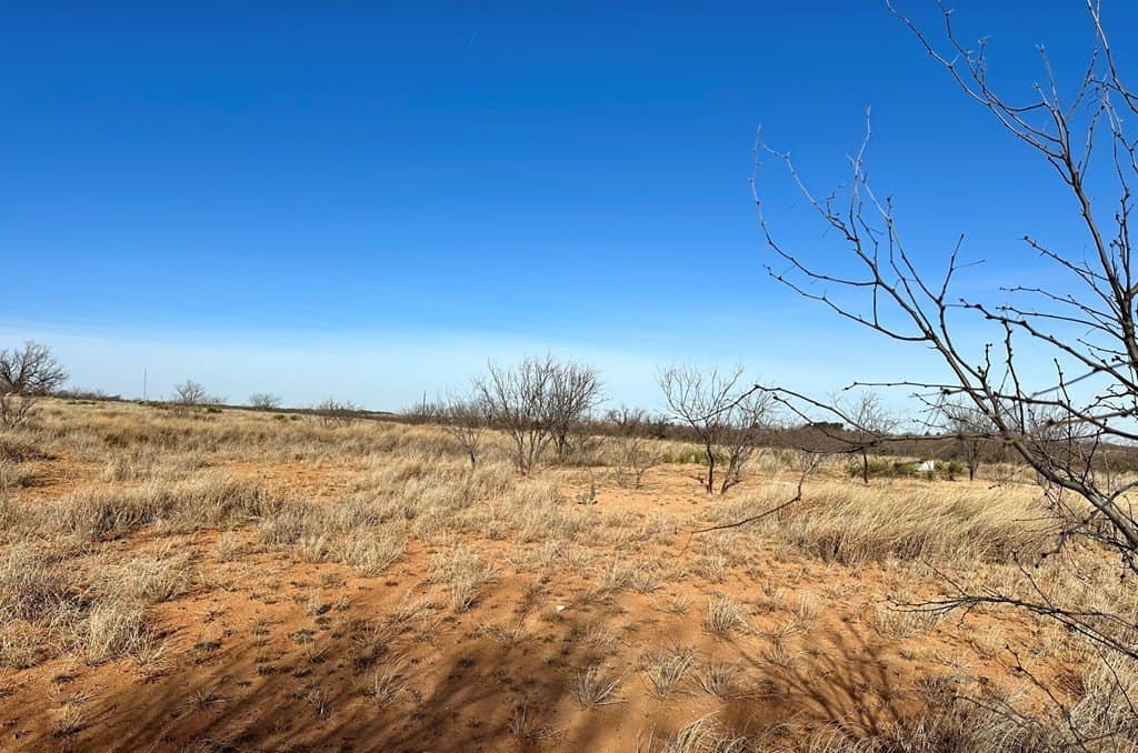 21 acres in Mitchell County - photo 13