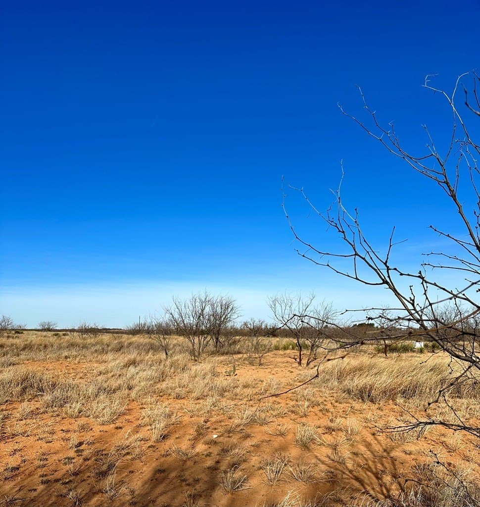 21 acres in Mitchell County - photo 14
