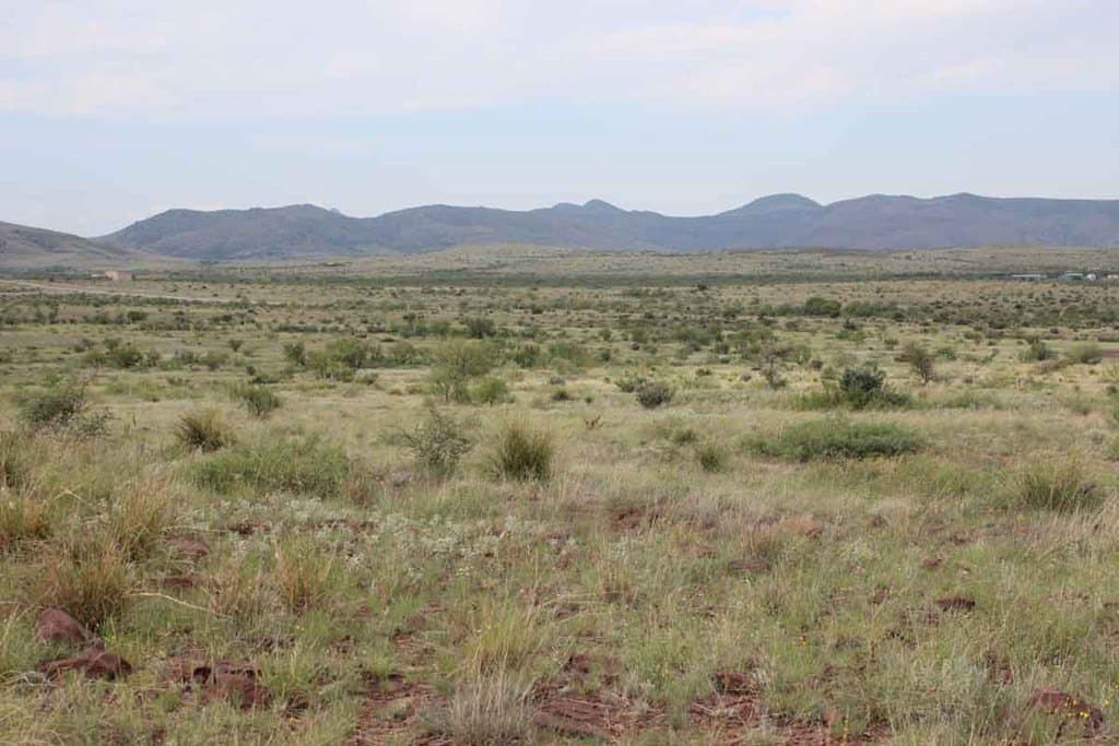 22.48 acres in Brewster County - photo 8