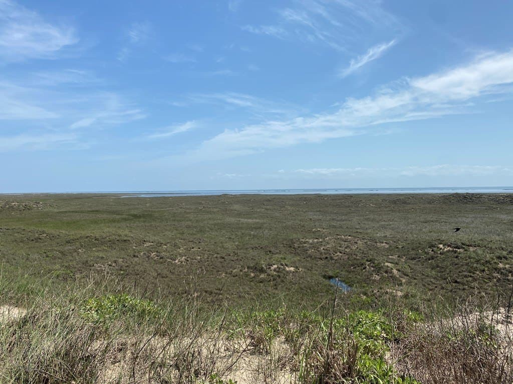 0 acres in Cameron County - photo 13