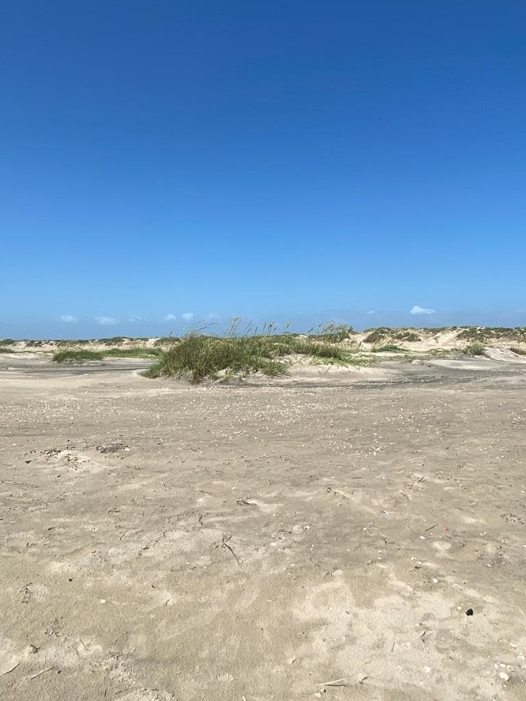0 acres in Cameron County - photo 21
