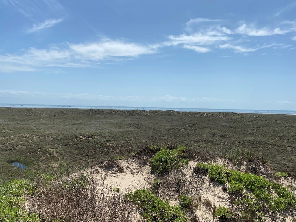 0 acres in Cameron County - photo 12