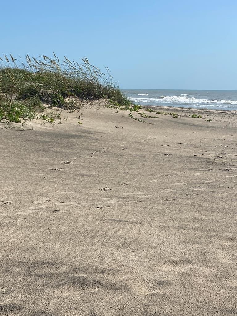 0 acres in Cameron County - photo 18