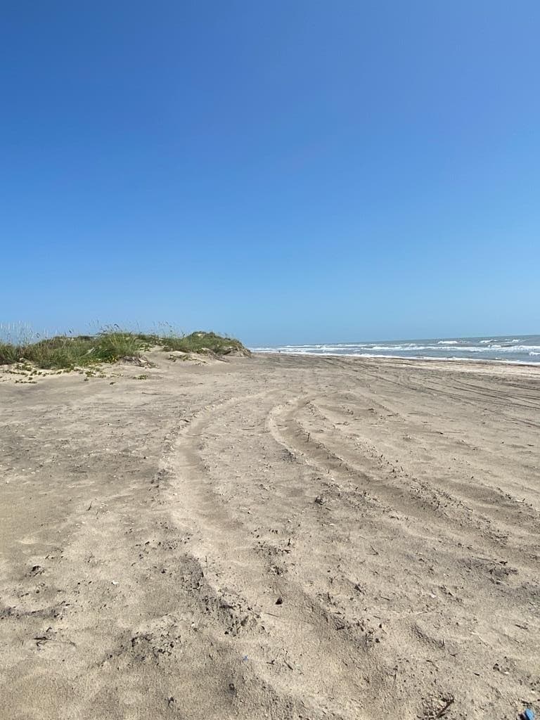 0 acres in Cameron County - photo 25