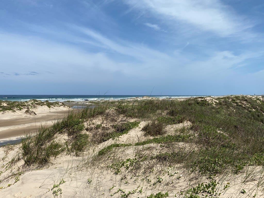 0 acres in Cameron County - photo 15