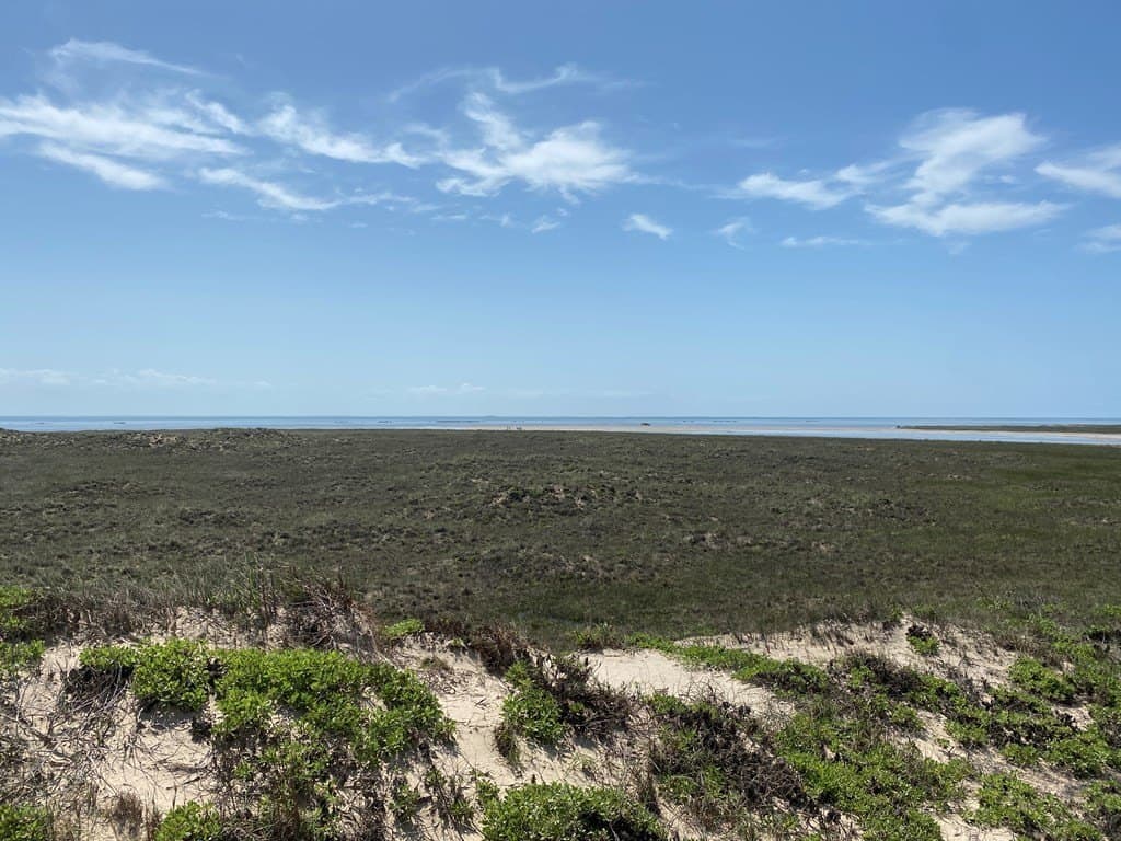 0 acres in Cameron County - photo 11