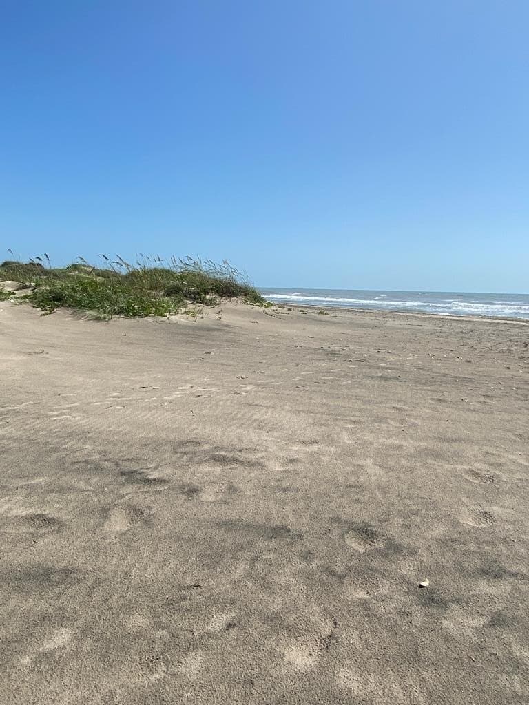 0 acres in Cameron County - photo 19
