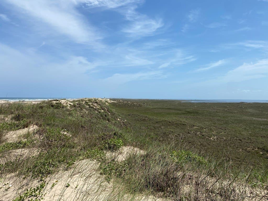 0 acres in Cameron County - photo 14